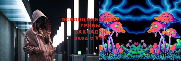 прущие крисы Киренск