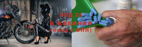 сатива Кинешма