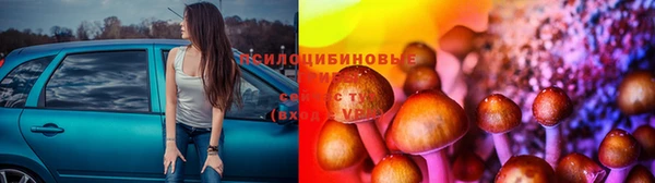 амф Киреевск