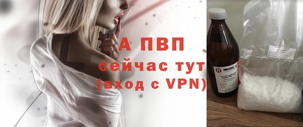 сатива Кинешма