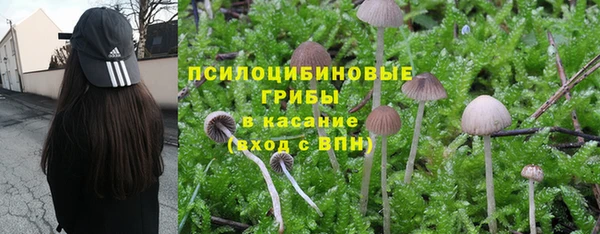 прущие крисы Киренск