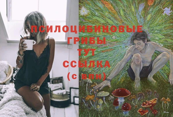 прущие крисы Киренск