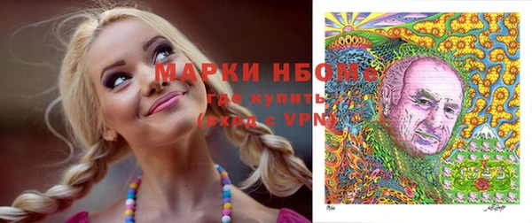 сатива Кинешма
