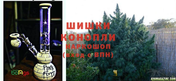 прущие крисы Киренск