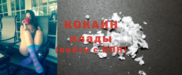 сатива Кинешма