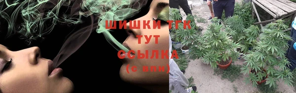 прущие крисы Киренск