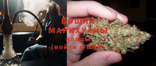 прущие крисы Киренск