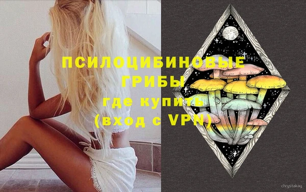 сатива Кинешма